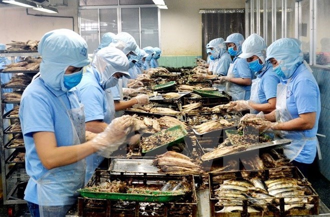 附圖：2018年前兩月越南水產(chǎn)品出口額同比增長(cháng)近30%。（圖片來(lái)源：越通社）